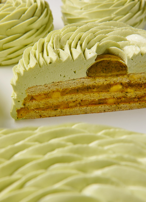 Mango Entremet