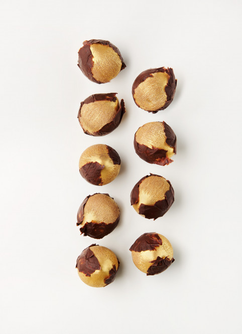 Golden Hazelnut