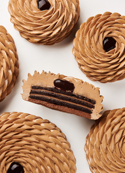 Cocoa Entremet