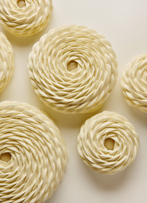 Lemon Entremet