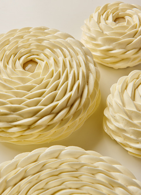 Lemon Entremet