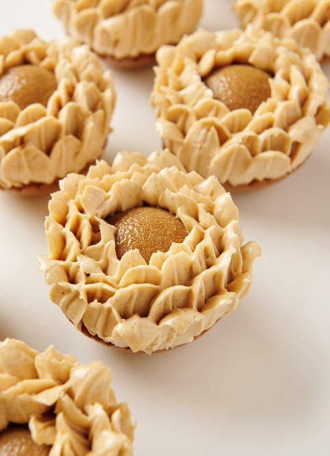 Peanut Flower