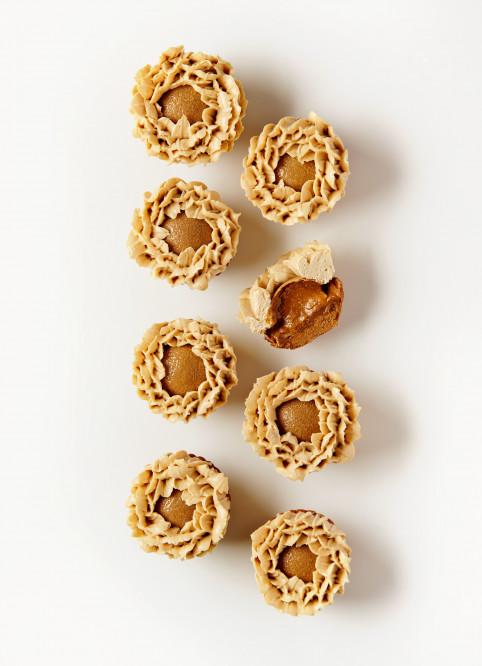 Peanut Flower
