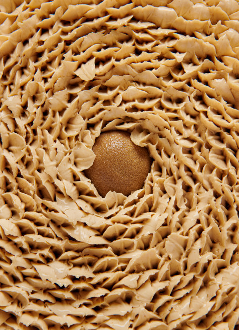 Peanut Flower