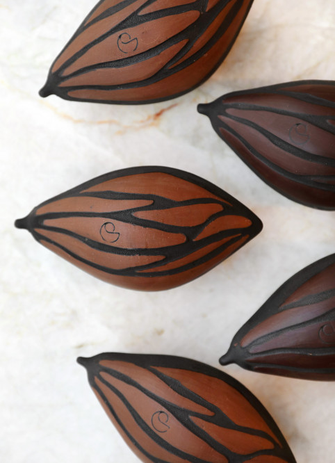 Cocoa Pod