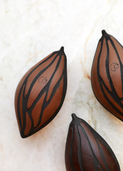 Cocoa Pod