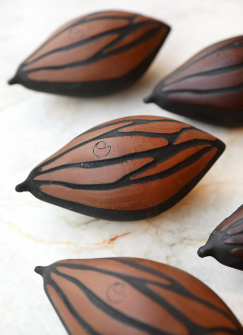 Cocoa Pod