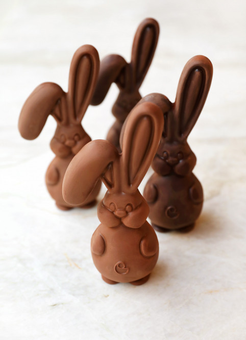 Bunny