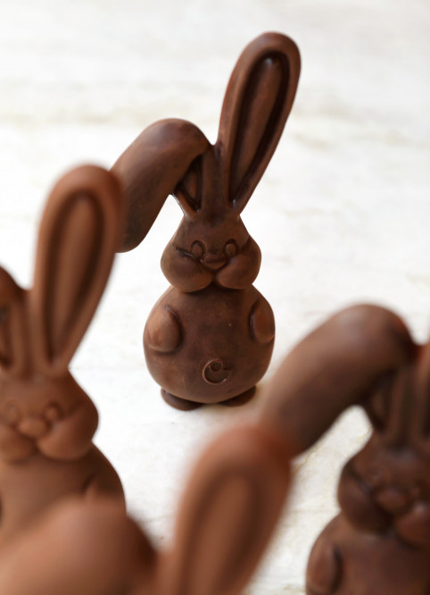 Bunny
