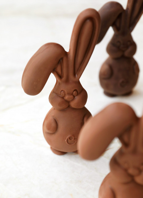 Bunny