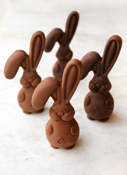 Bunny