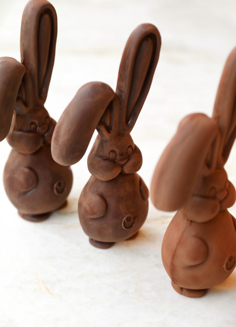 Bunny