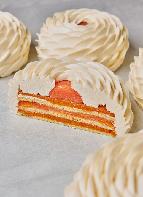 Grapefruit Entremet