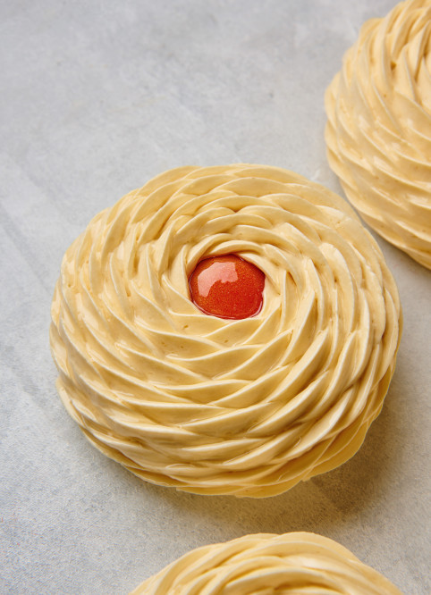 Apricot Entremet