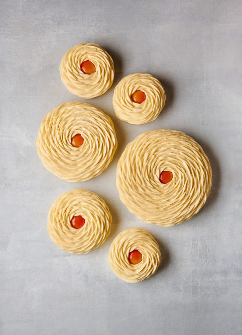 Apricot Entremet
