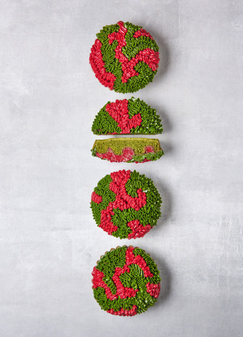 Matcha-Raspberry Marble Cake
