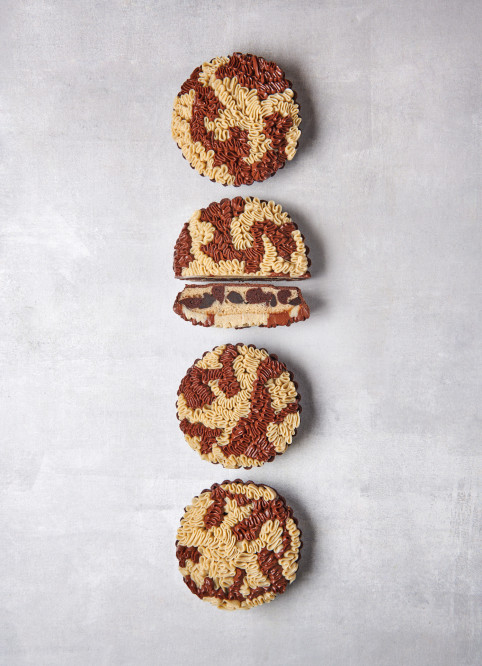 Chocolate-Vanilla Marble cake
