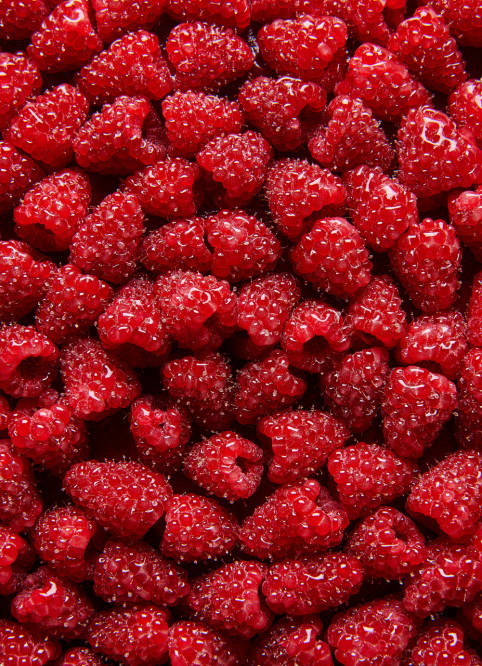 Raspberry Tart