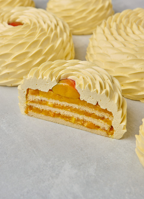 Mango Entremet