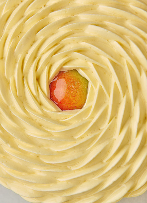 Mango Entremet