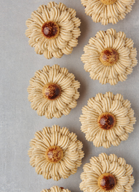 Mont Blanc Blackcurrant