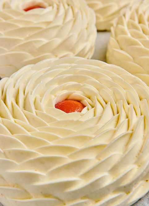 Mango Entremet