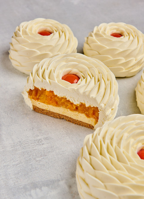 Mango Entremet
