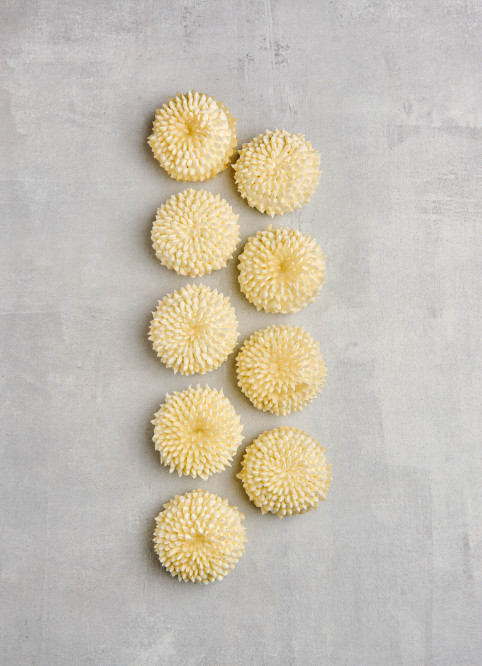 Lemon Cheesecake Flower