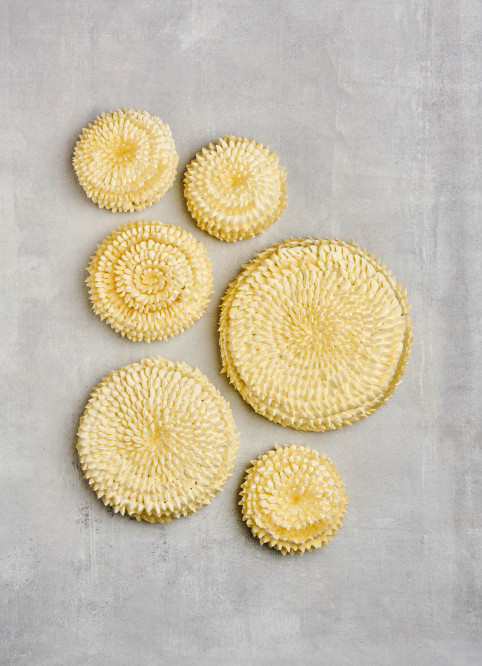 Lemon Cheesecake Flower